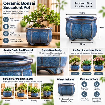 A collage-style product listing graphic for a ceramic Bonsai Succulent Pot. The main product is shown in a glossy blue glazed pot with a small bonsai plant inside, surrounded by feature callouts, dimensions (12 x 10 x 9 cm), usage examples, care instructions, and a product included badge on a white background.
